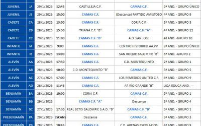 INFORMACIÓN SOBRE HORARIOS DE PARTIDOS