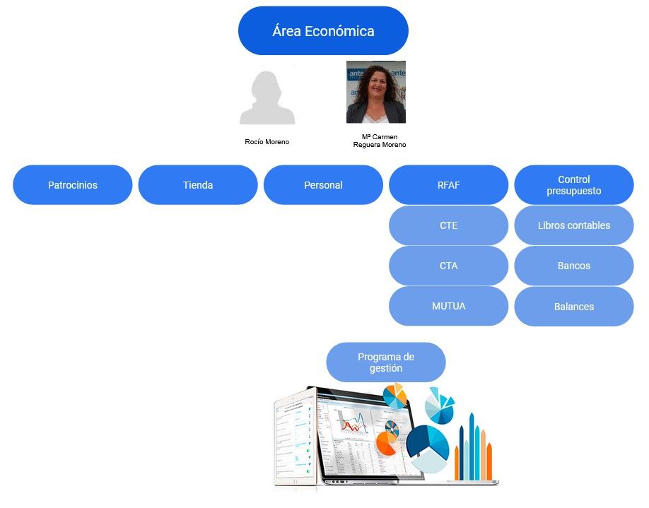 organigrama_economico